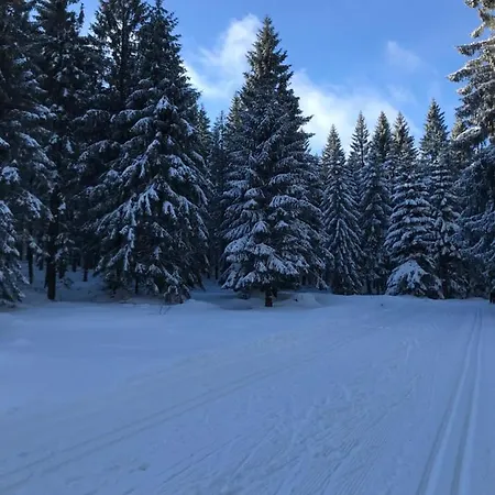 Dla Aktywnych 公寓 *